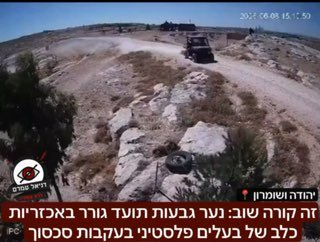 זה קורה שוב: נער גבעות תועד גורר באכזריות כלב של בעלים פלסטיני ביהודה ושומרון