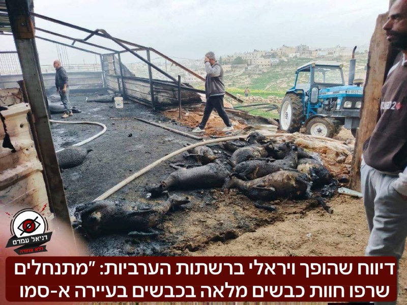 דיווחים על הצתת חוות כבשים בדרום חברון: המשטרה מבהירה כי מדובר בקצר חשמלי