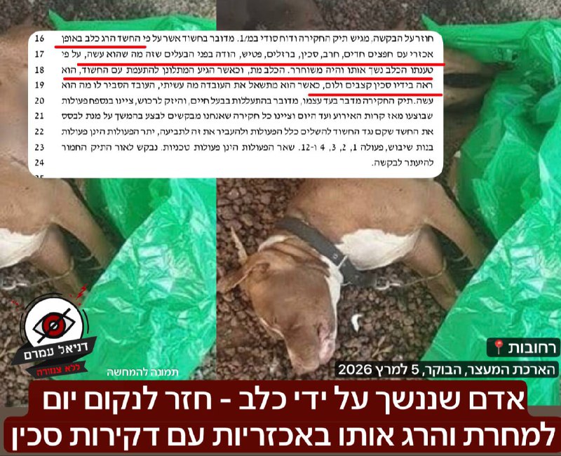 חשד לנקמה אכזרית: עובד זר דקר למוות כלב שנשך אותו ברחובות