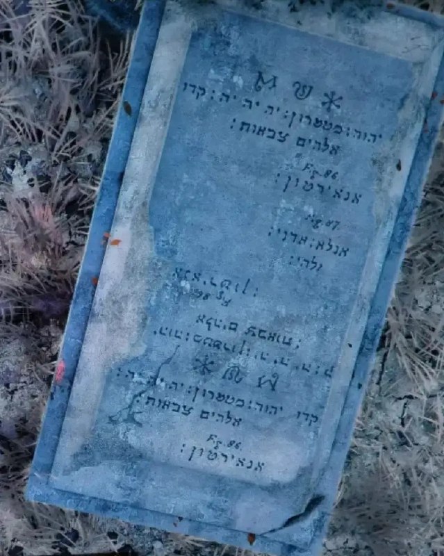 מציאת כתובות בעברית במשחק Crimson Desert, כולל אזכור "ה' צבאות'"