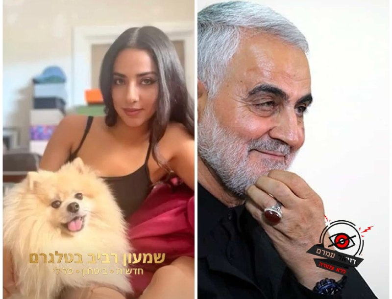 אחייניתו של קאסם סולימני נעצרה ותגורש מארה"ב בחשד לקשרים עם המשטר האיראני