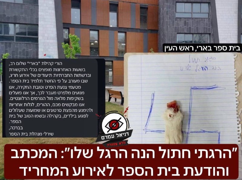 ״הרגתי חתול״: תלמיד מראש העין כתב מכתב מחריד על הרג חתול
