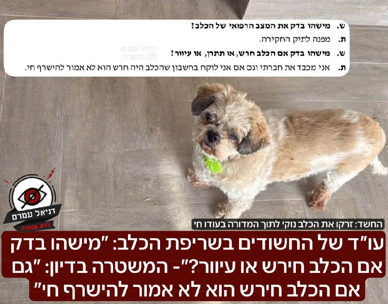 עו״ד של החשודים בשריפת הכלב: ״מישהו בדק אם הכלב חירש או עיוור?״- המשטרה: ״גם אם הכלב חירש הוא לא אמור להישרף חי״