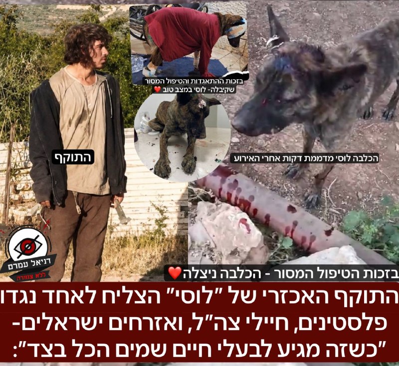 התוקף האכזרי של הכלבה ״לוסי״ הצליח לאחד נגדו חיילי צה״ל, פלסטינים, ואזרחים ישראלים