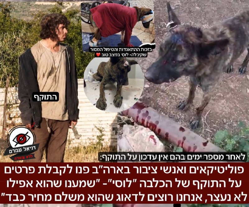 פוליטיקאים ואנשי ציבור בארה״ב פנו לקבלת פרטים על התוקף של הכלבה ״לוסי״- ״שמענו שהוא אפילו לא נעצר, אנחנו רוצים לדאוג שהוא משלם מחיר כבד״: קיבלנו אתמול הודעות ממספר עוזרי סנאטורים, ואנשי ציבור לקבלת מי