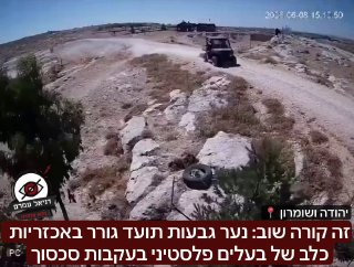 יהודה ושומרון: נער גבעות גרר כלב של פלסטיני, דרישות למעצרו