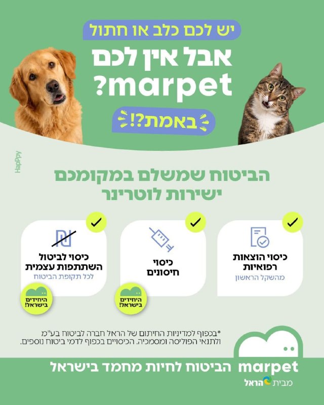 marpet: הביטוח המשתלם לחיות מחמד, בלי השתתפות עצמית, עם קורס אילוף מתנה
