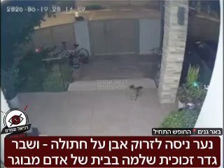 צעיר זרק אבן על חתול ושבר גדר זכוכית של בית ב-10,000 ש"ח