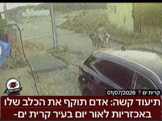 תיעוד קשה: אדם תוקף באכזריות את הכלב שלו בקרית ים