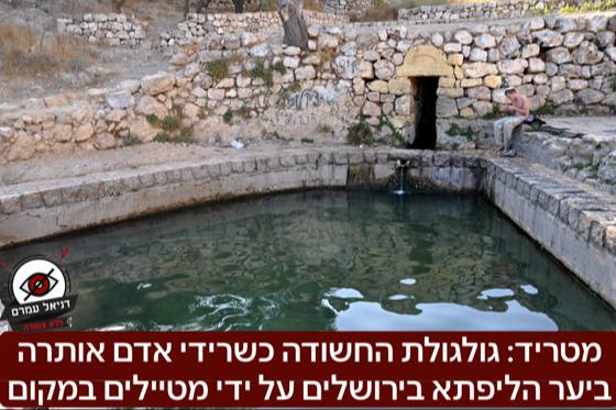 חשד לממצא ארכיאולוגי מטריד: גולגולת אדם נמצאה ביער ליפתא