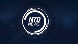 חדשות NTD עברית: ערוץ טלגרם ייחודי שלא כדאי לפספס
