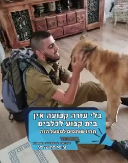 אני סיגל צור אמא של עדי צור ז״ל, שנהרג ב- 7/10- ואני זקוקה לעזרתכם. לעדי בני האהוב והבלתי נשכח היה יחס מיוחד לבעלי חיים.