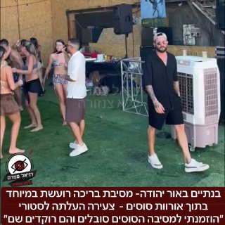 אור יהודה: מסיבת בריכה רועשת באורוות סוסים גורמת סבל לסוסים