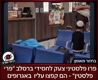 פרו פלסטיני צעק לחסידי ברסלב ״פרי פלסטין״ - הם קפצו עליו באגרופים